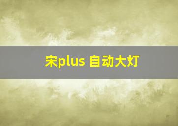 宋plus 自动大灯